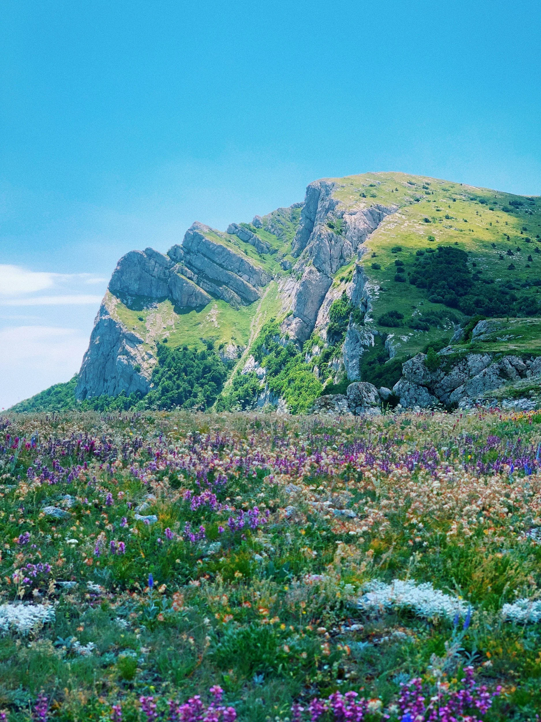 A landscape of a lush green mountain with rocky cliffs, covered with grass and small trees, under a clear blue sky, with a field of colorful wildflowers at the base.