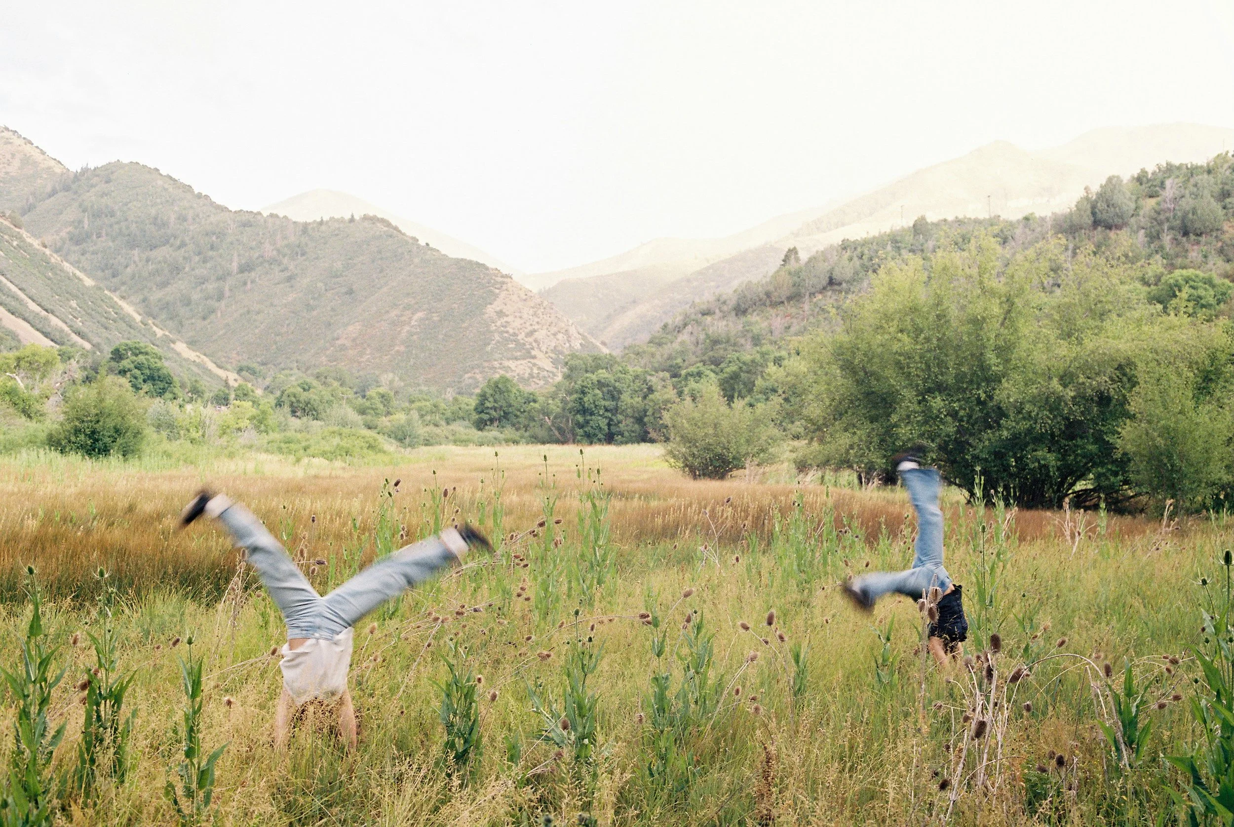 Two children are playing and falling in a grassy field with green plants, trees, and mountains in the background.