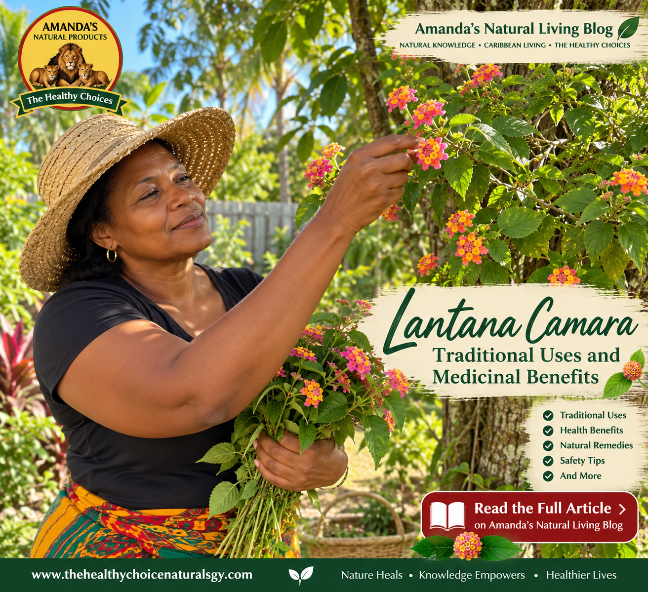 Lantana Camara: Traditional Medicinal Uses, Health Benefits and What Research Has Found