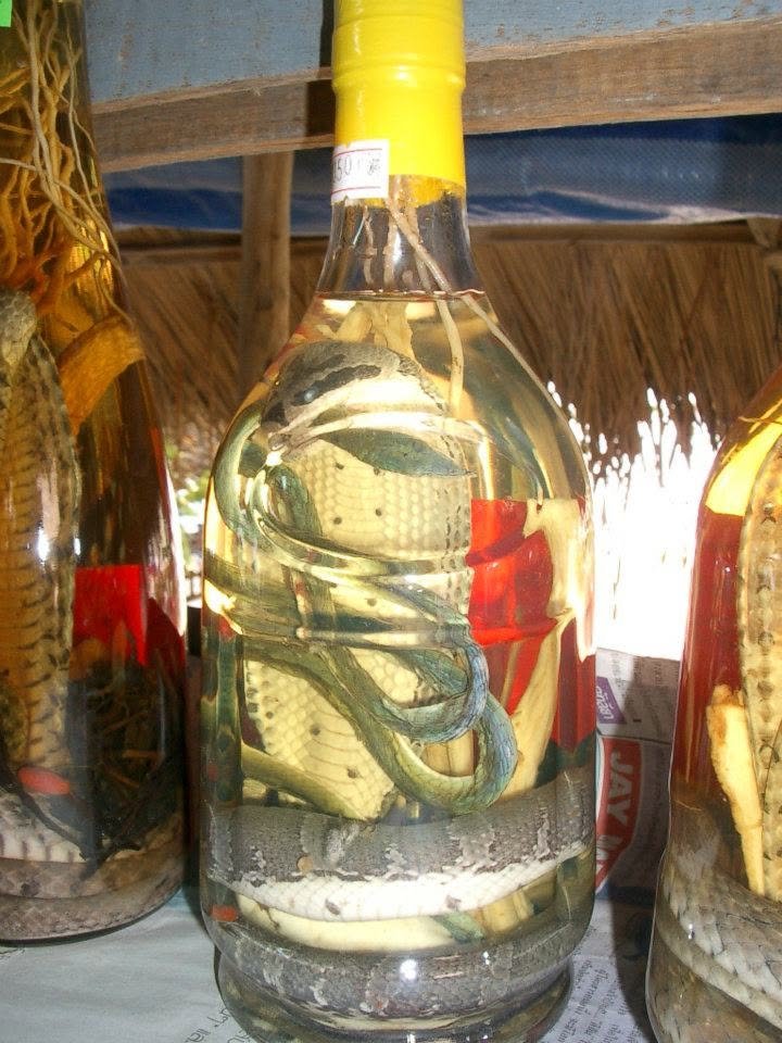 Snake Wine