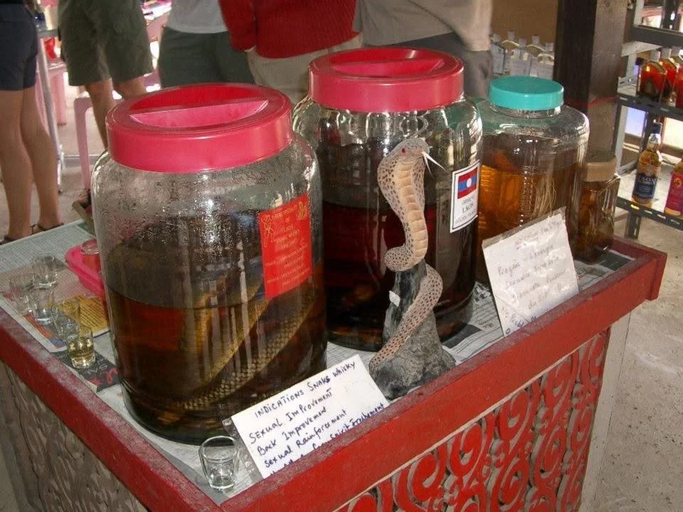 Snake Blood Wine