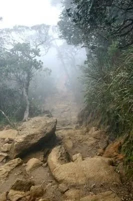 Neverending climb