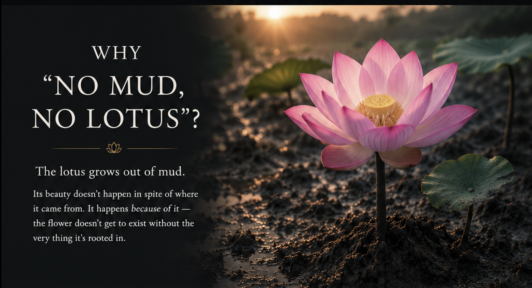 A pink lotus flower blooming in muddy water at sunset with green lily pads around it, accompanying a quote about the lotus growing out of mud.