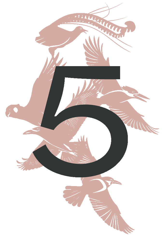 The iconic laughing Kookaburra, the melodic Australian Magpie, The cheeky Red Wattlebird, the enchanting Superb Lyrebird and majestic Black Cockatoo - five songs that animate this magical place and inspired our namesake.