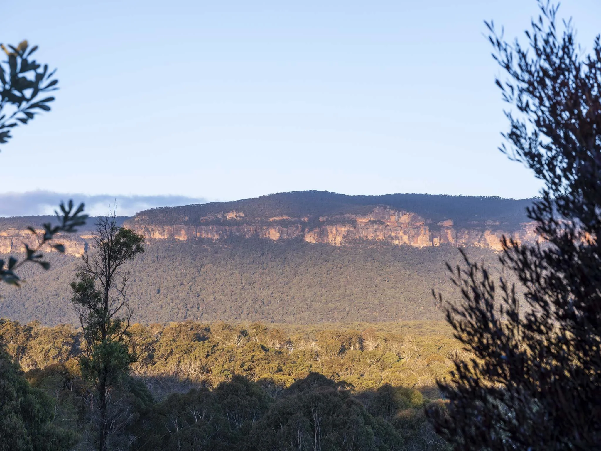 Set within native bushland and wildlife-friendly gardens, Five Songs lets you engage with nature on your own terms. #NatureRetreat #SlowLiving #EpicViews #SpectacularViews #GreaterSydney