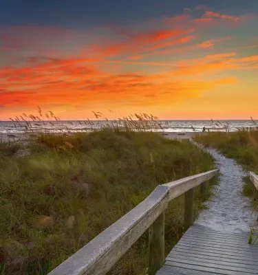 indian-shores-boardwalk-sea-oats-sunset.jpg.webp