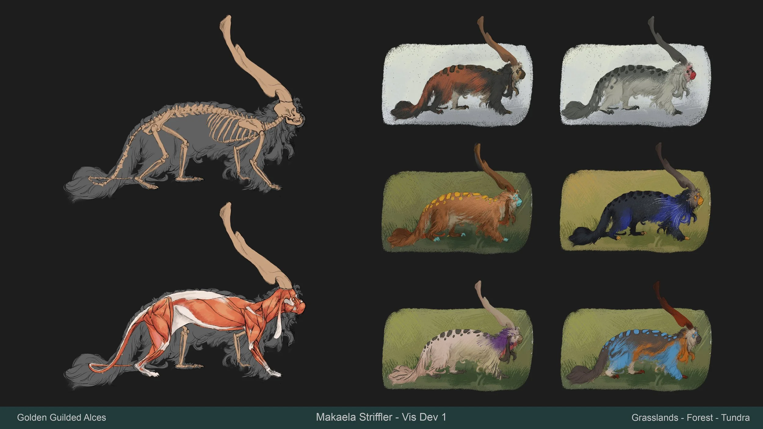 Makaela Striffler_Visdev 1_Creature_Portfolio copy.jpg