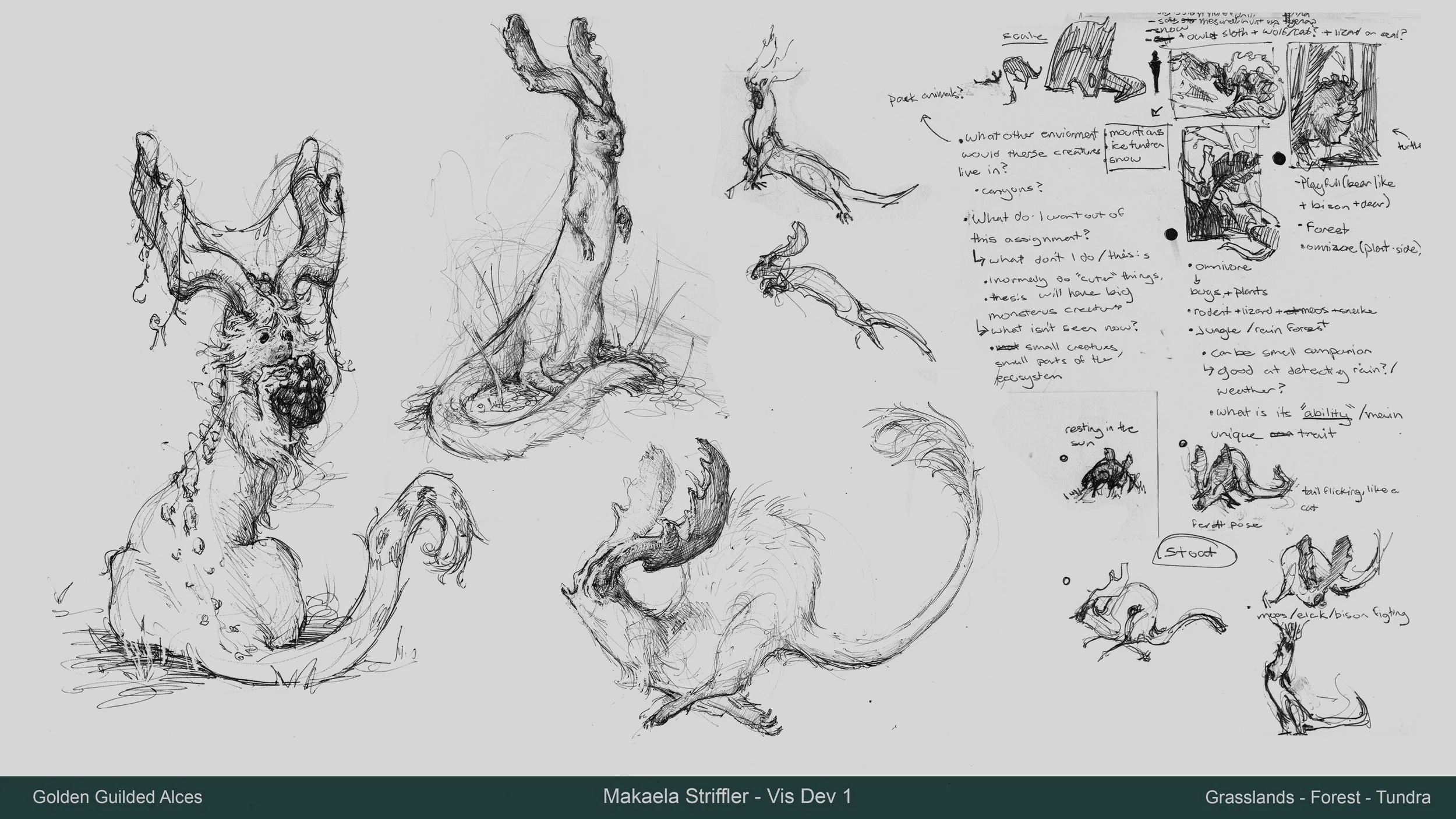 Makaela Striffler_Visdev 1_Creature_Portfolio_03 copy.jpg