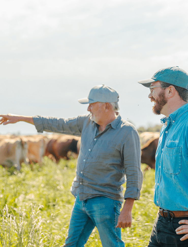 Two farmers with caps and casual shirts discussing in a field with cows grazing in the background.