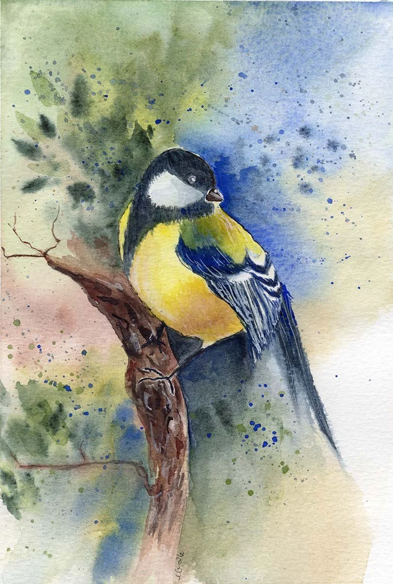 Tufted Titmouse