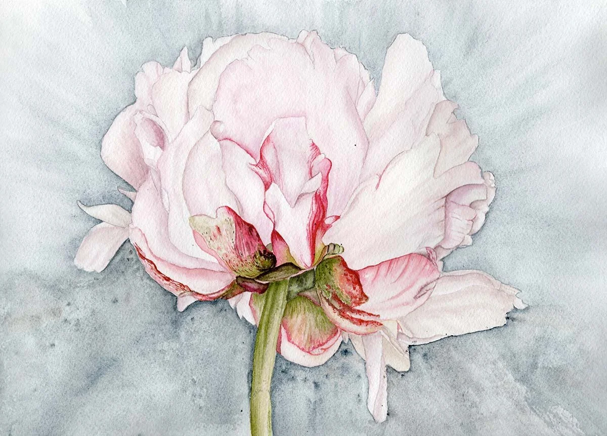 Held in Bloom