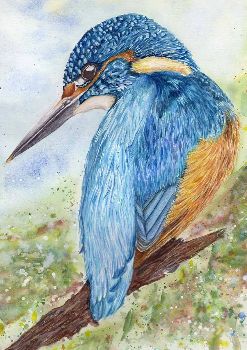 King Fisher