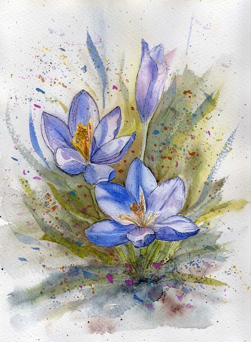 Crocuses