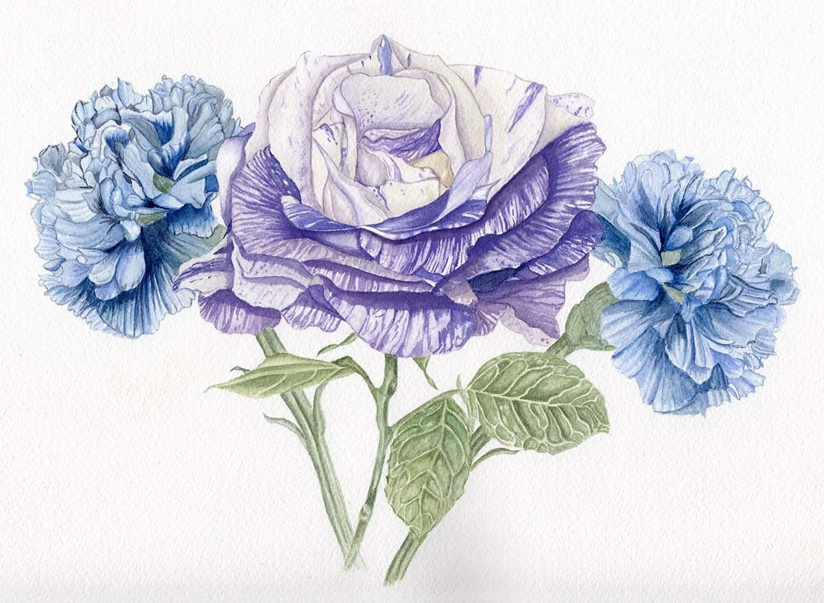 Striped Rose