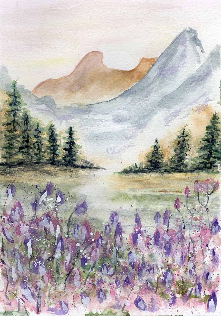 Lavender Fields