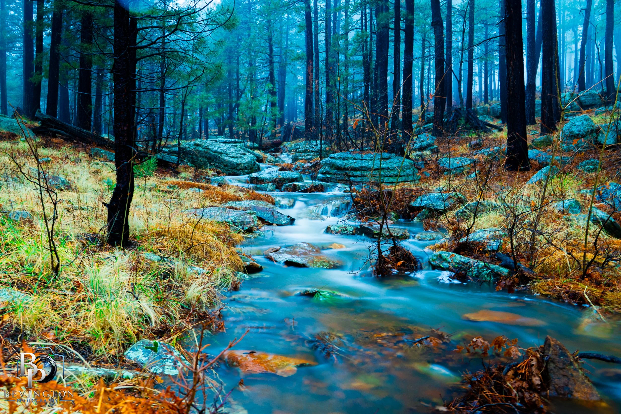 Morning Runoff On The Mogollon Rim- Woods Canyon Lake Road, Az 