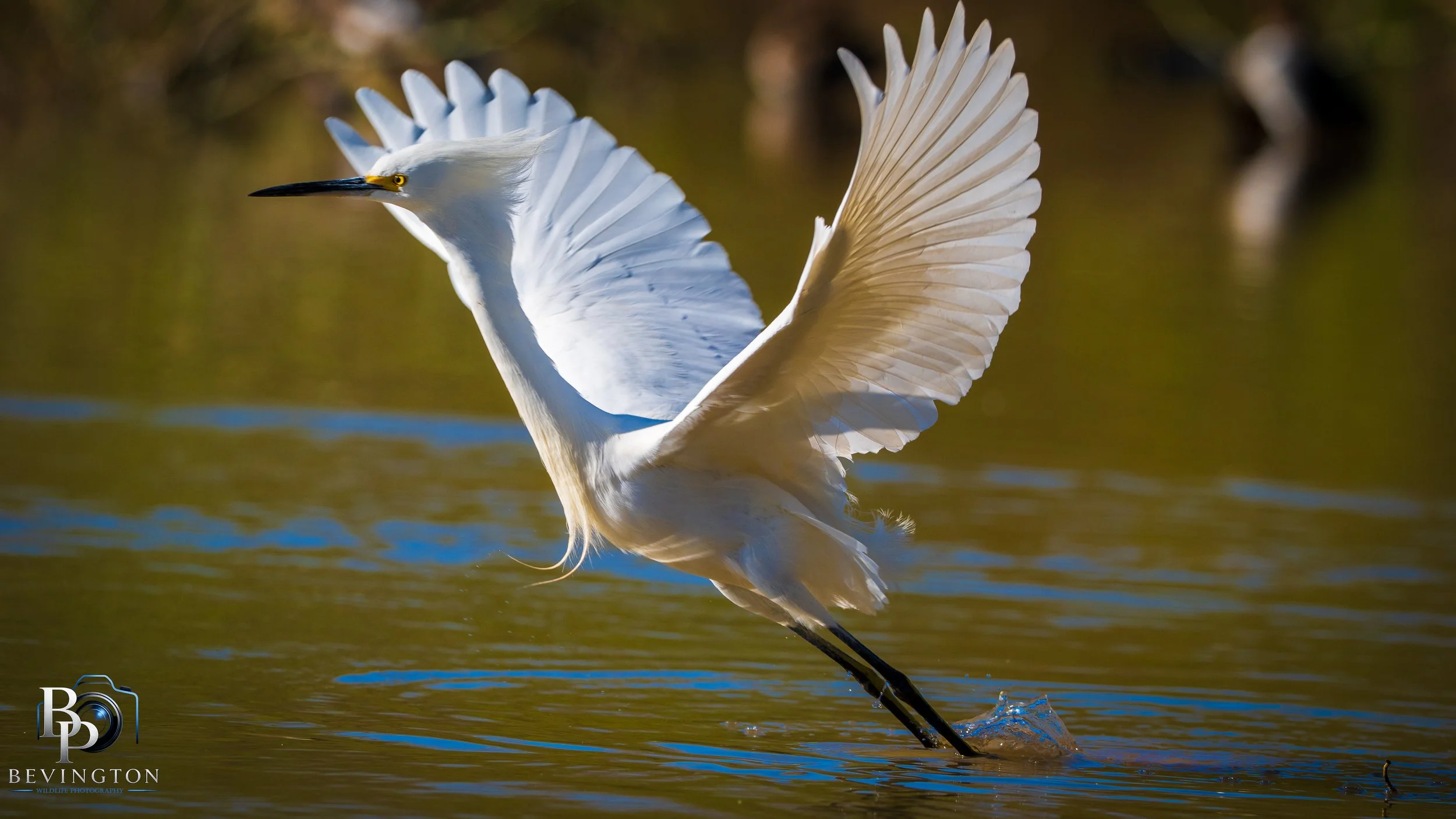 Riparian Preserve -28.jpg