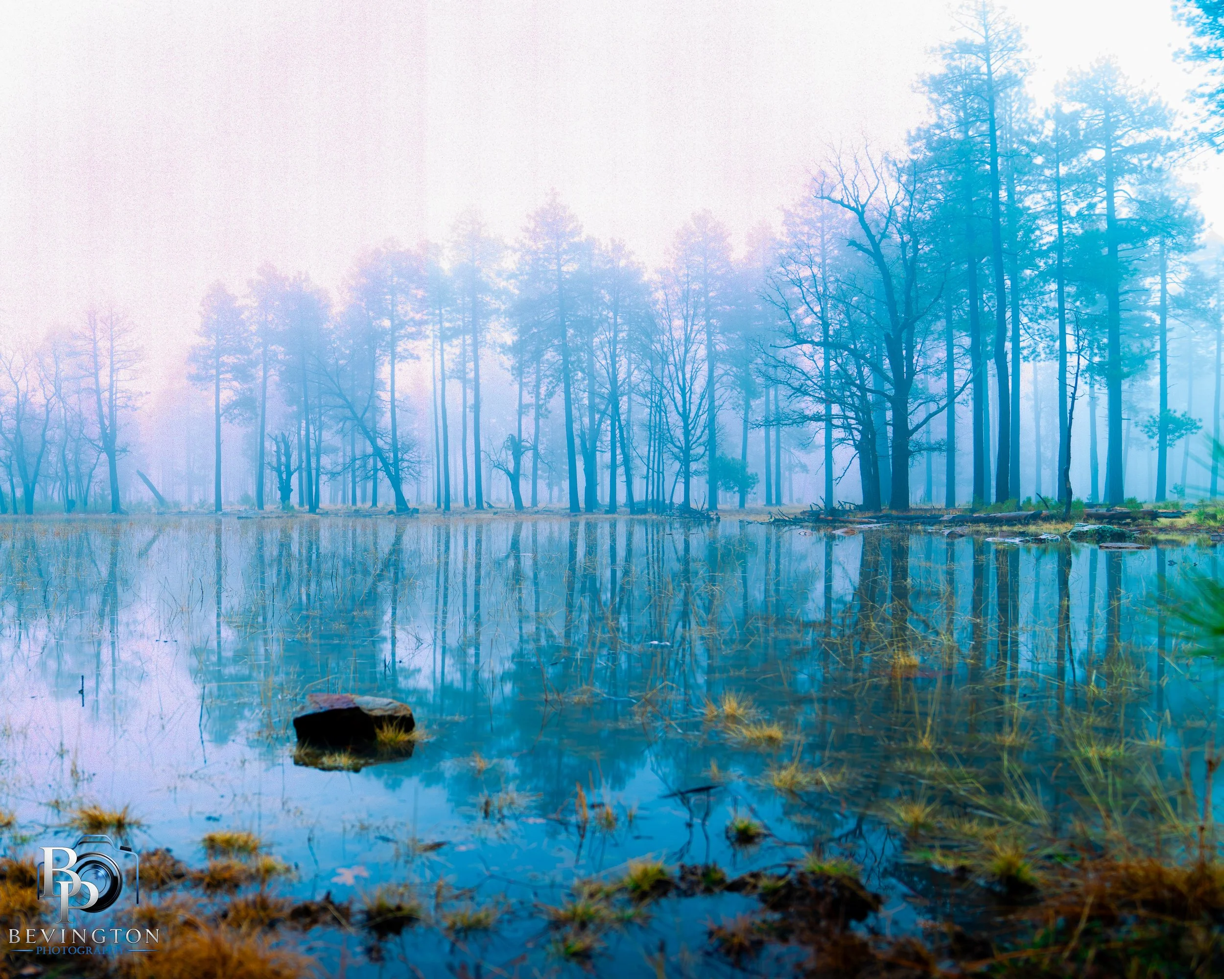 Morning Fog On The Mogollon Rim- Woods Canyon Lake Road, Az 