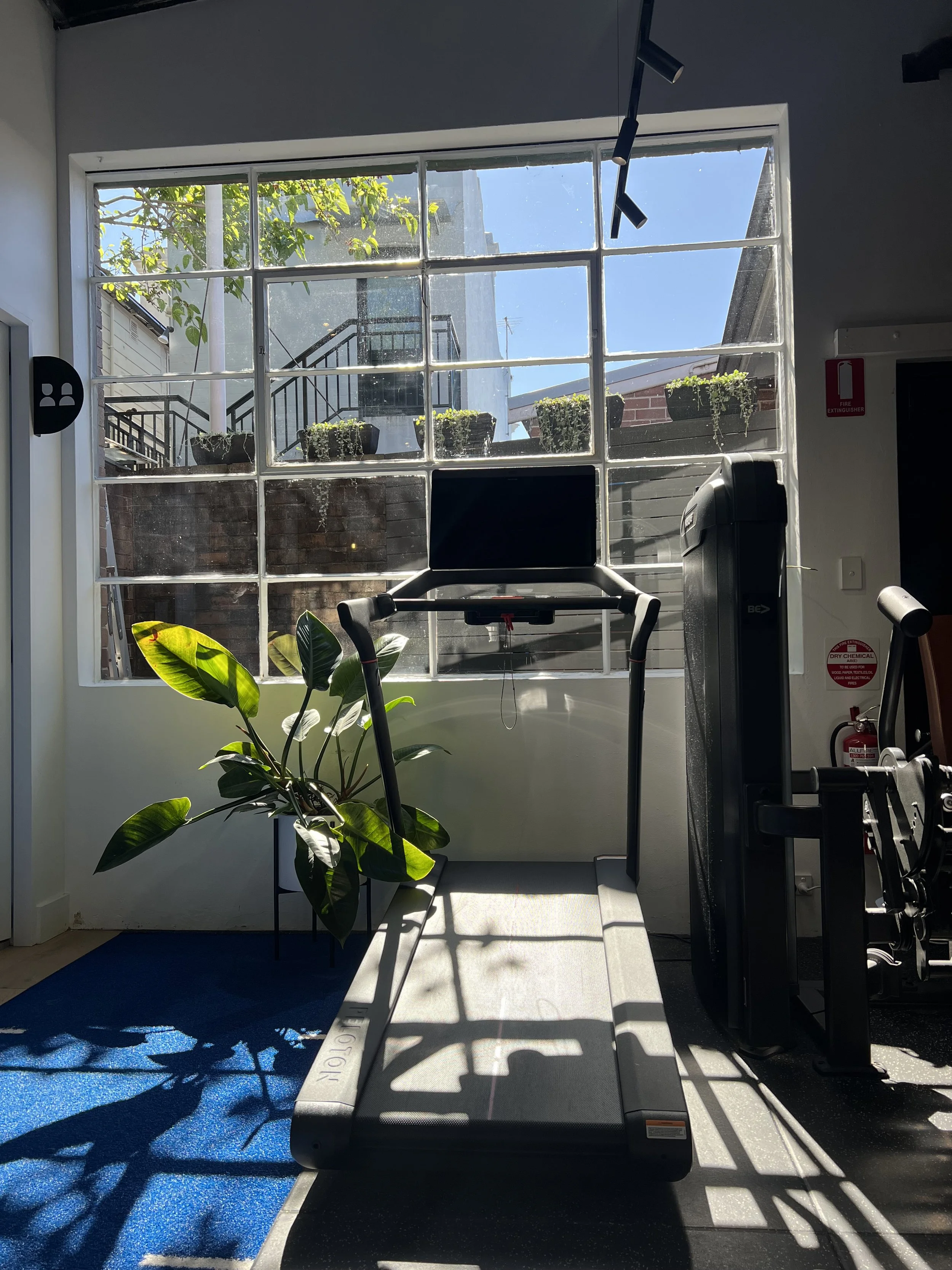 A treadmill positioned in front of a large window with sunlight streaming through. The window reveals a small outdoor balcony with potted plants, a brick wall, and a staircase outside. There is a plant with large green leaves inside the room, and gym equipment and safety signs are visible on the wall.