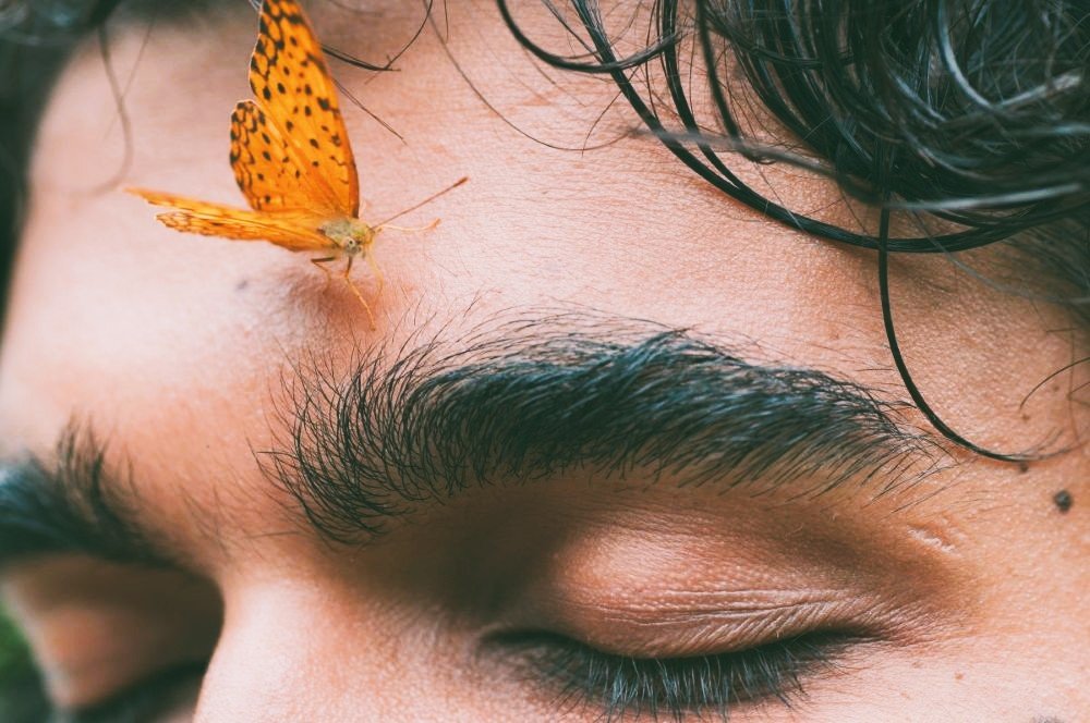 Yellow butterfly sitting on a man's forehead