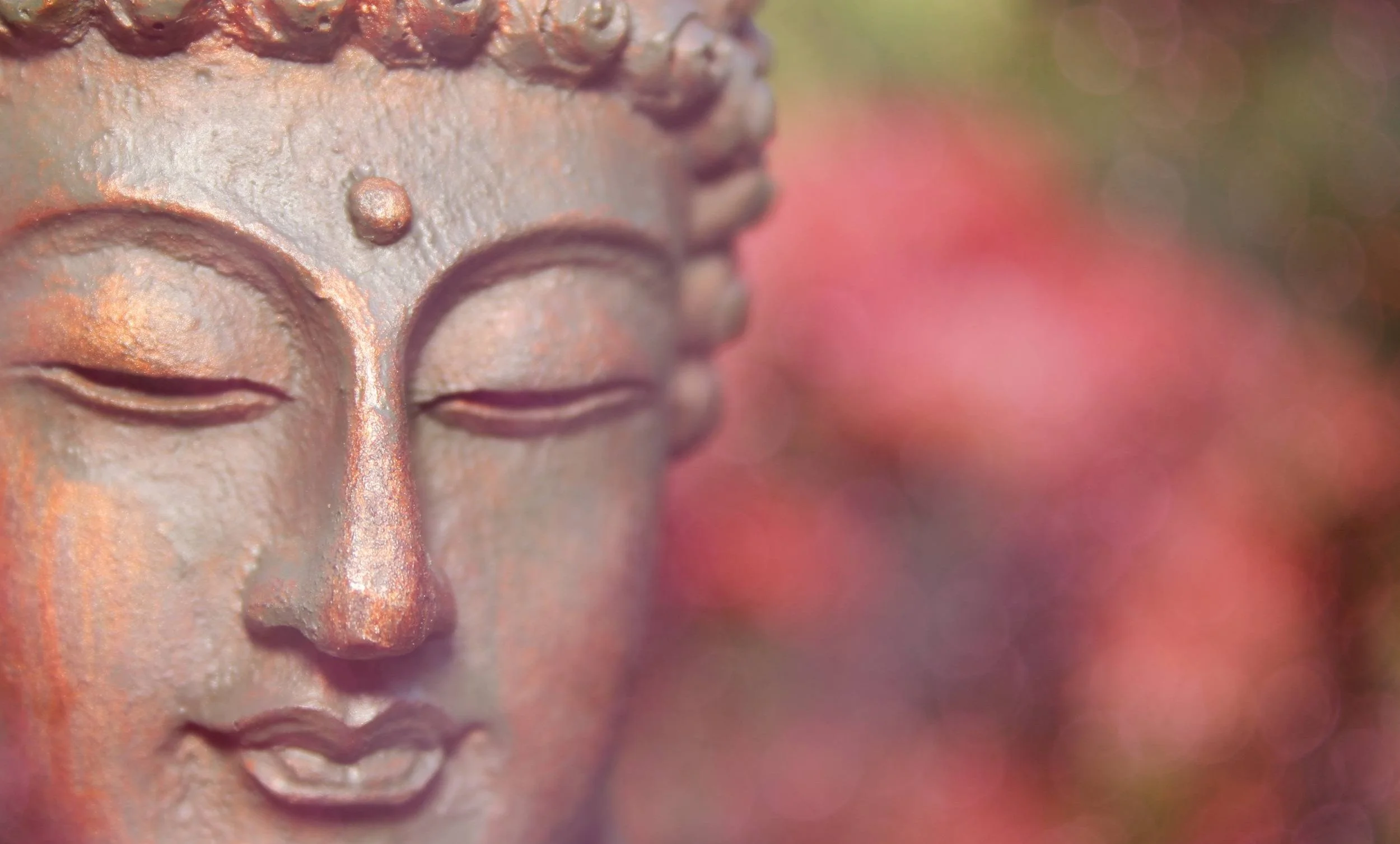 Closeup of the serene face of a Buddha statue with a third eye bindi. Red and green flowers in the background