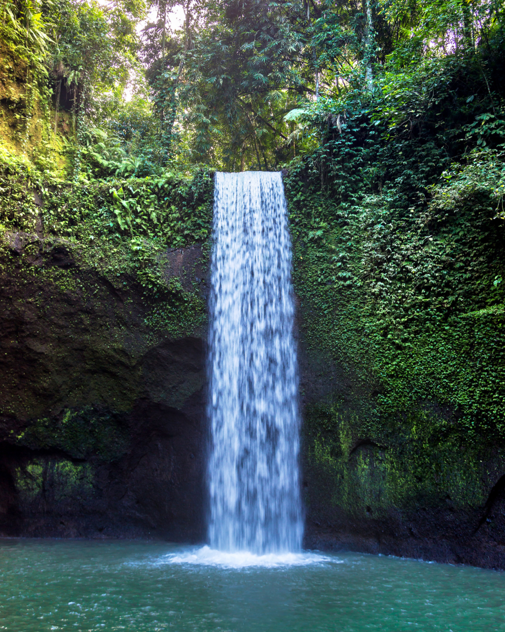 A waterfall cascading down a rock face into a pool surrounded by lush green tropical foliage.