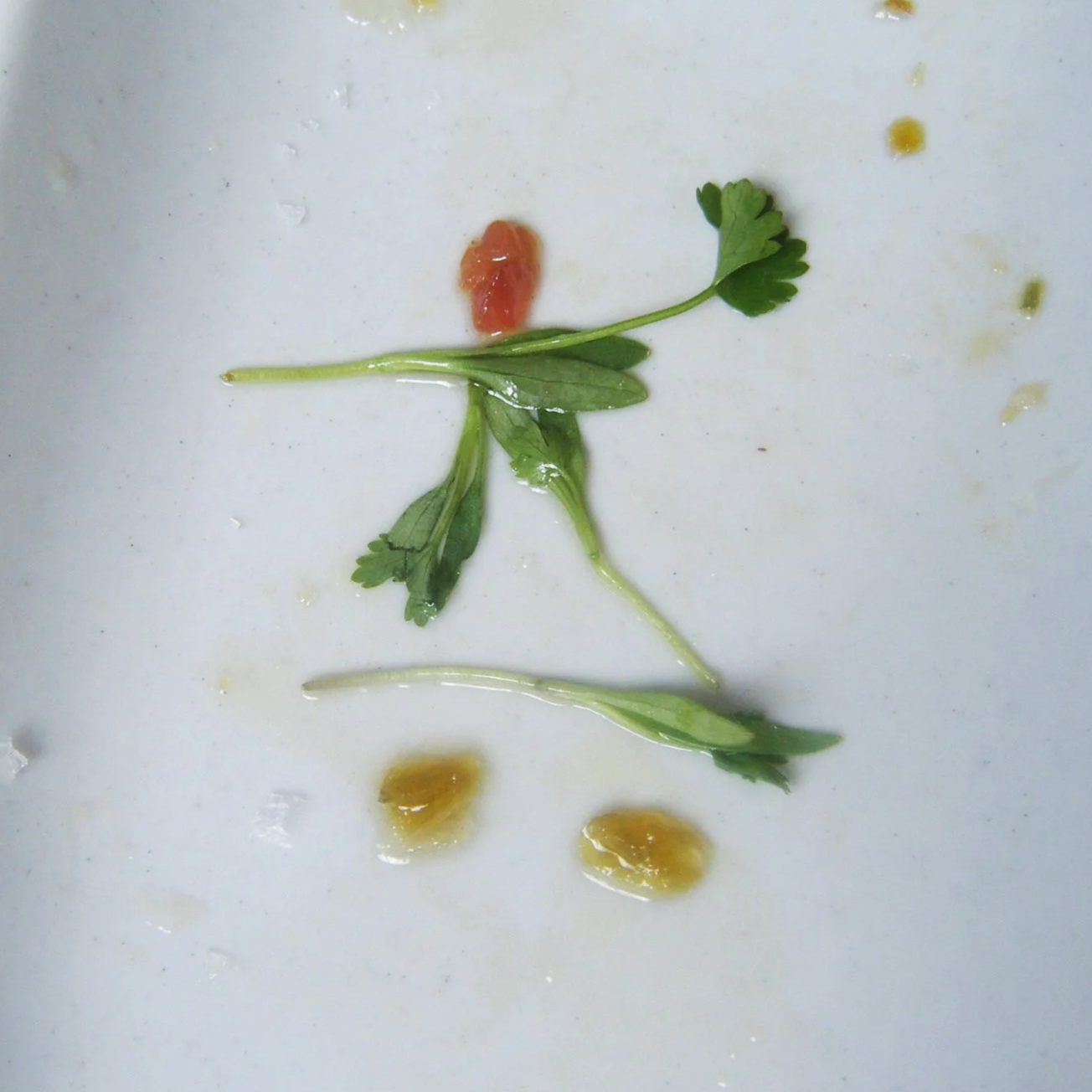 DSCF0018.png