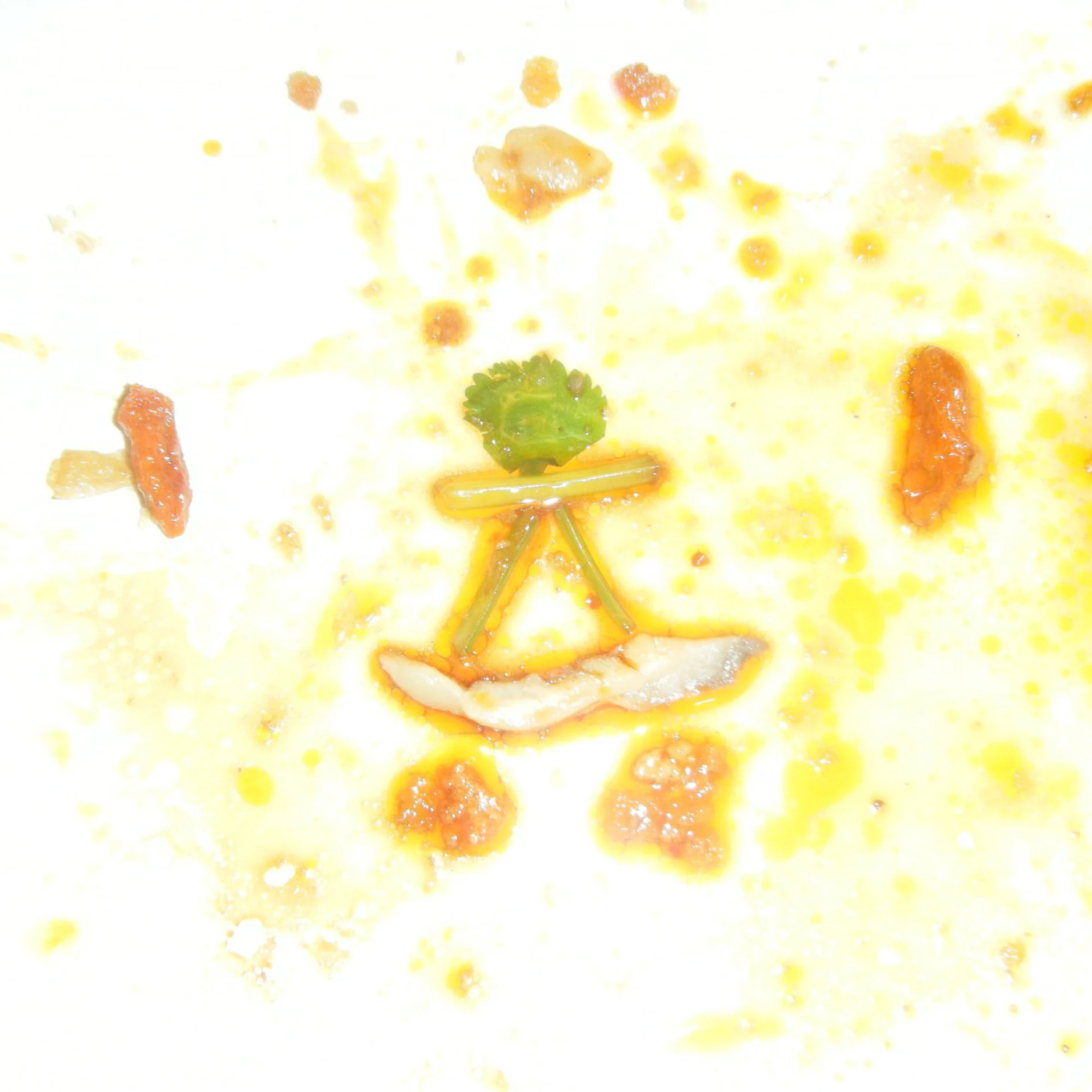 DSCF0001.png