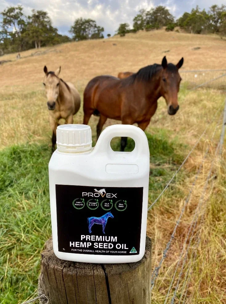 Provex_equine_premium_hemp_seed_oil_1L_paddock image.webp