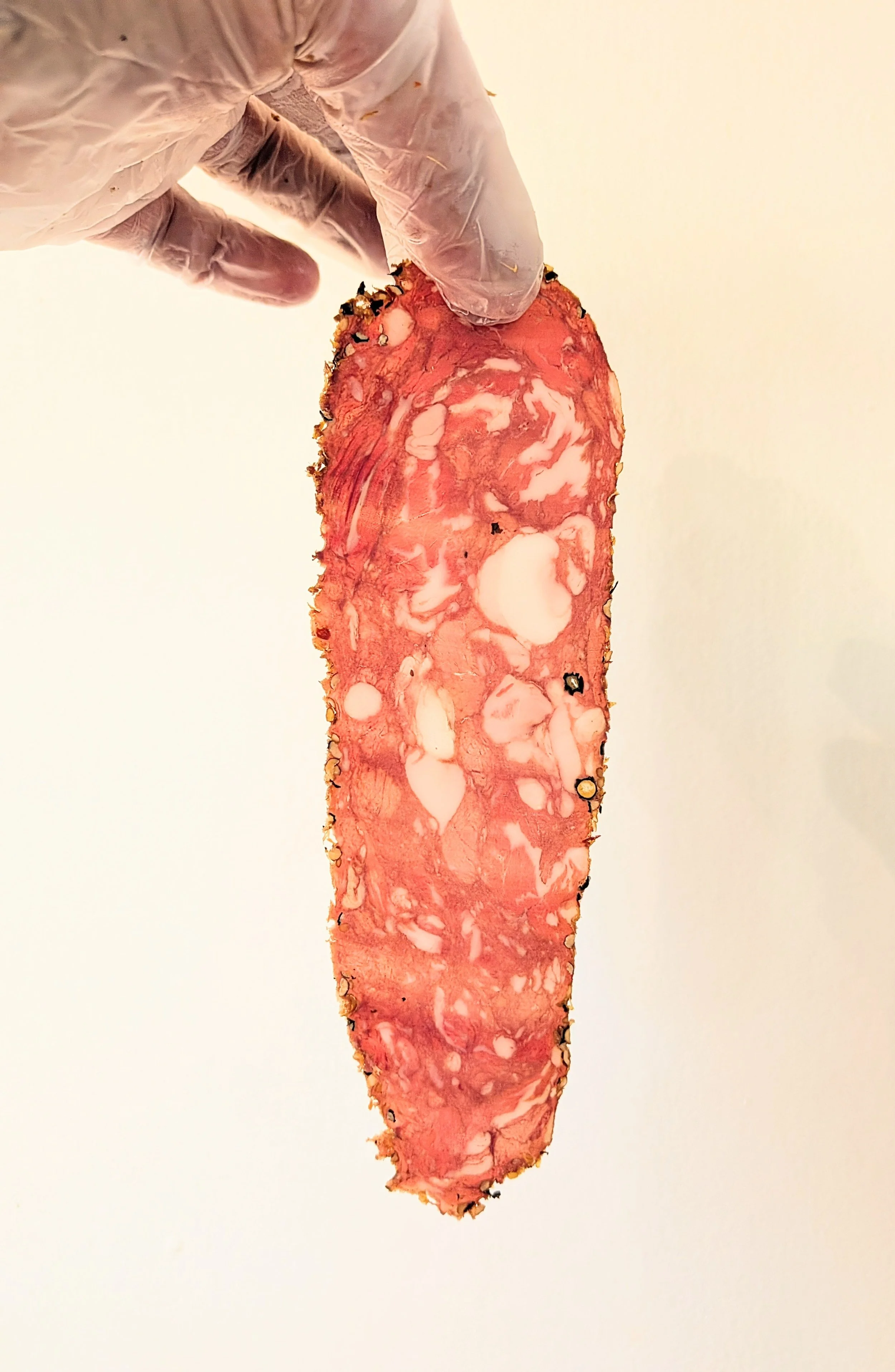 Wagyu Salami Slice. Saision Smallgoods. Coniston General.jpg