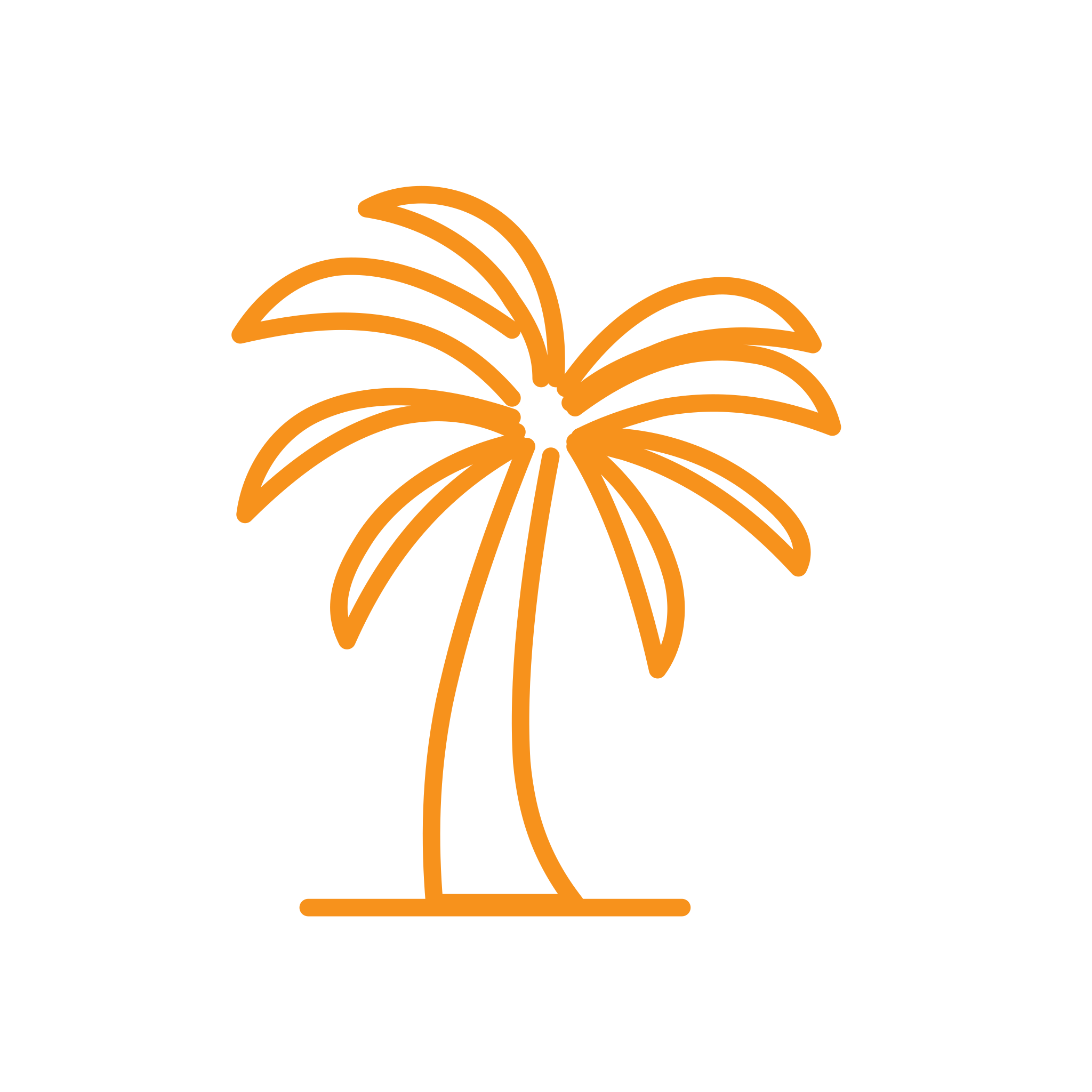 Palm tree — SUNGATE Hospitality and Tourism Growth Intelligence pillar