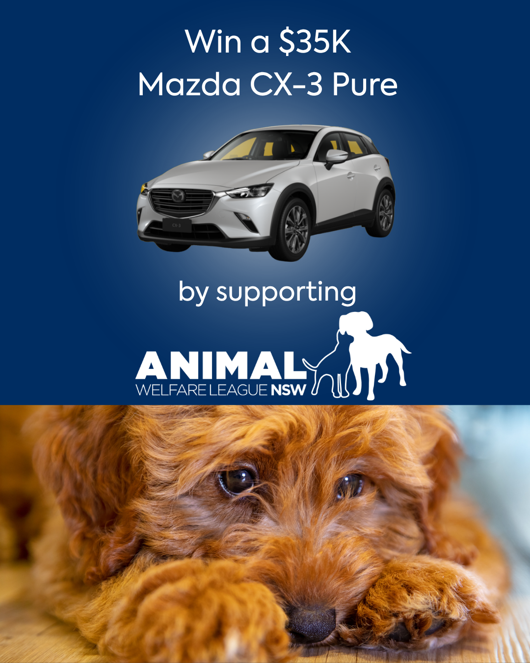 Animal Welfare League NSW Charity Raffle |  Mazda CX-3 Pure