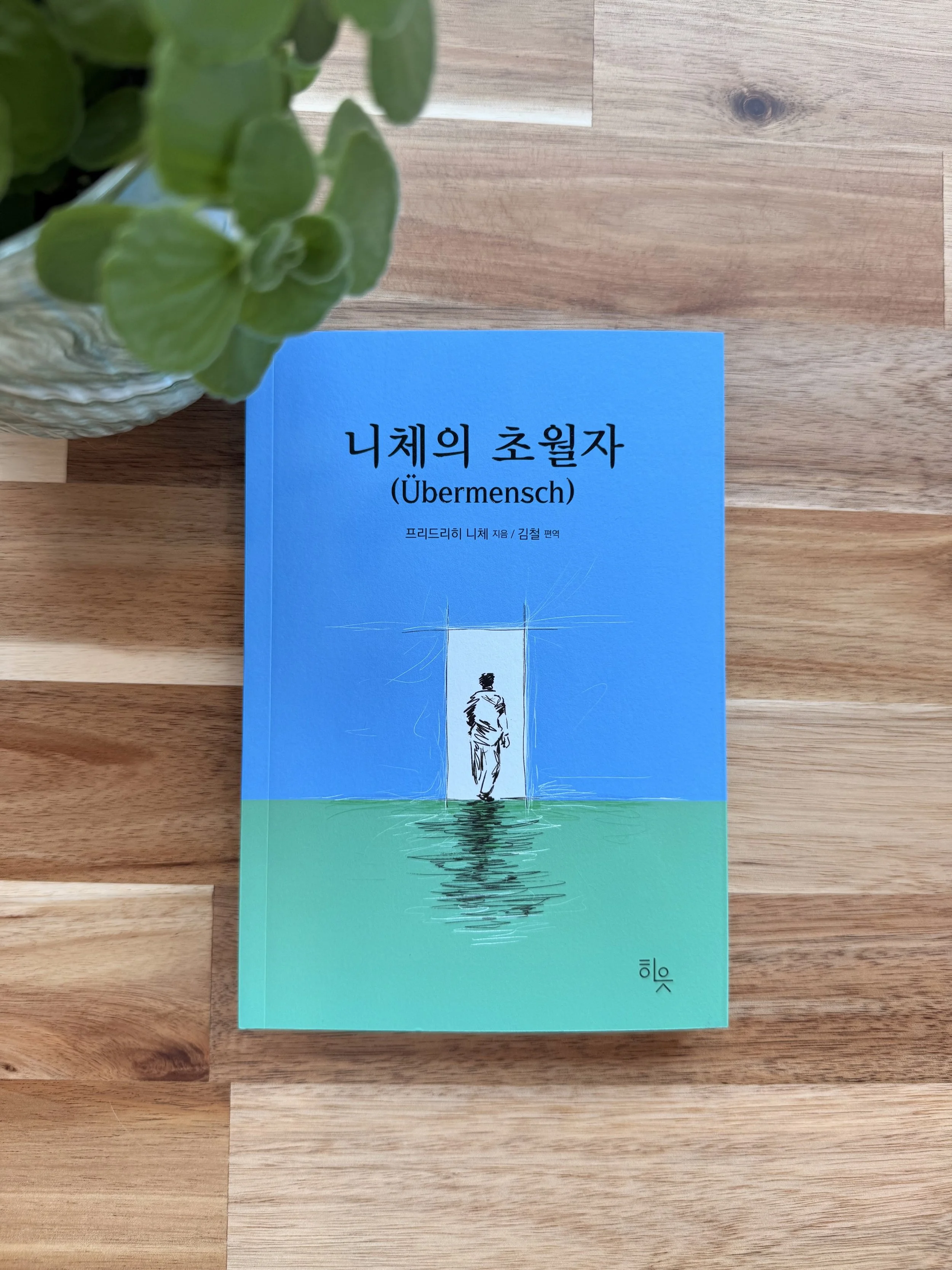 니체의 초월자