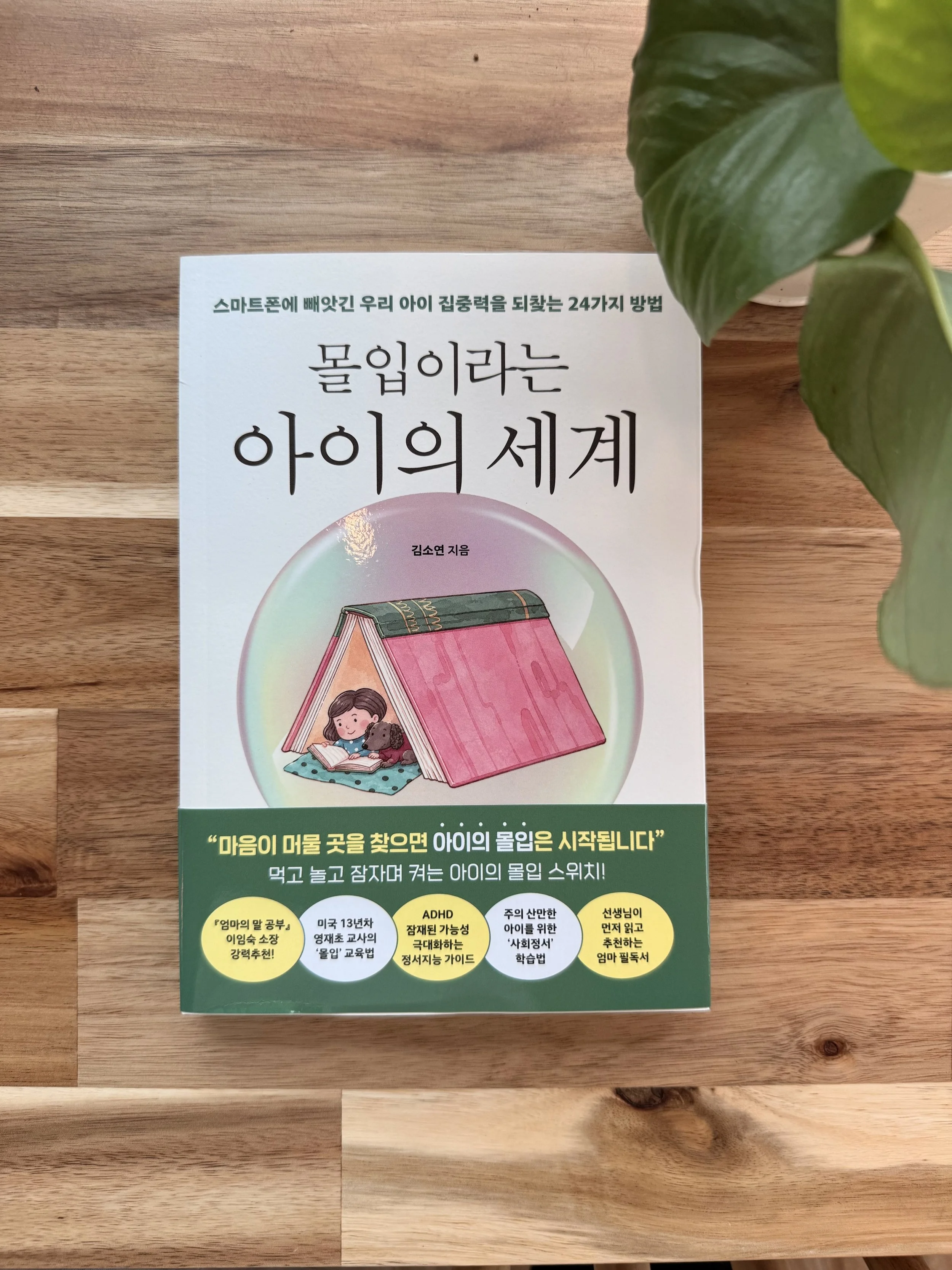 몰입이라는 아이의 세계