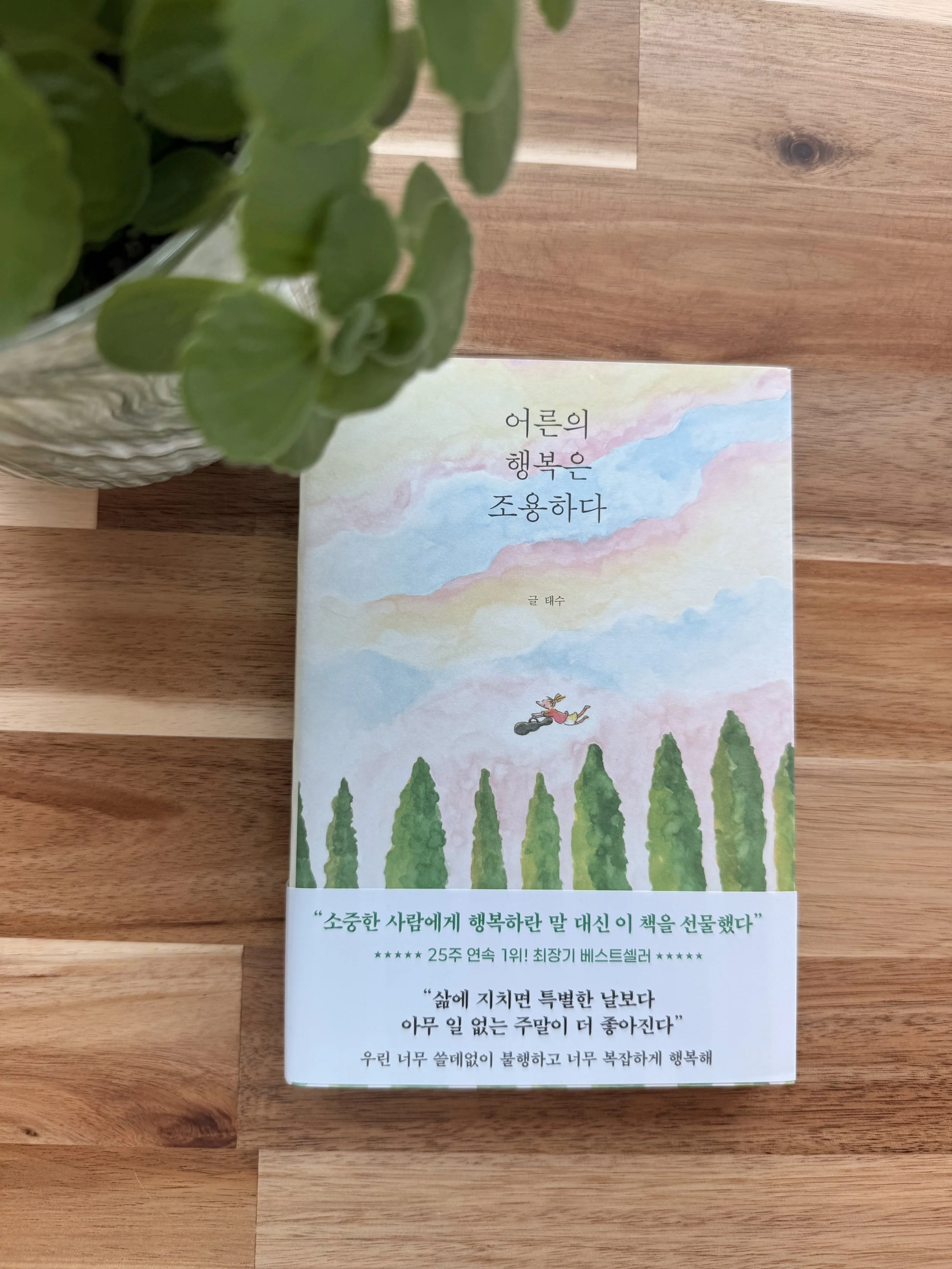 어른의 행복은 조용하다