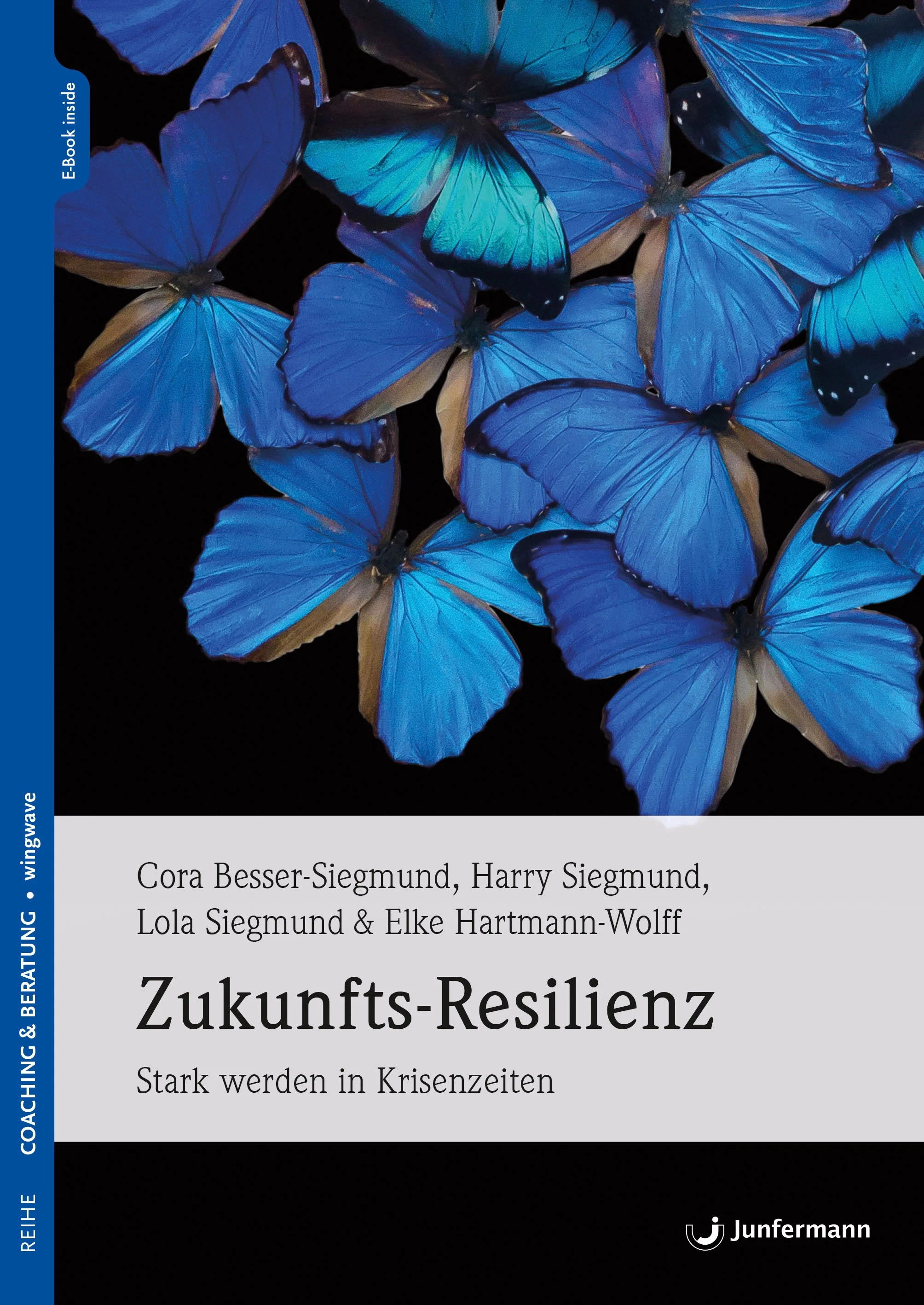 Das Bild zeigt den Buchtitel