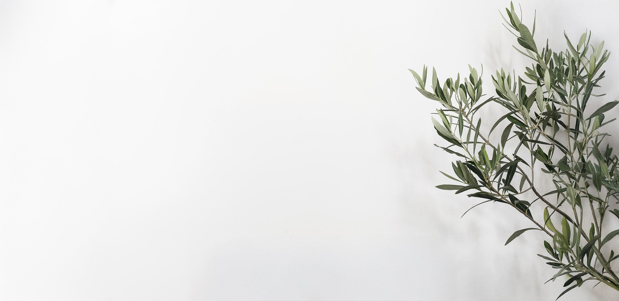 Evolve endocrinology Melbourne Dr Jasna Aleksova