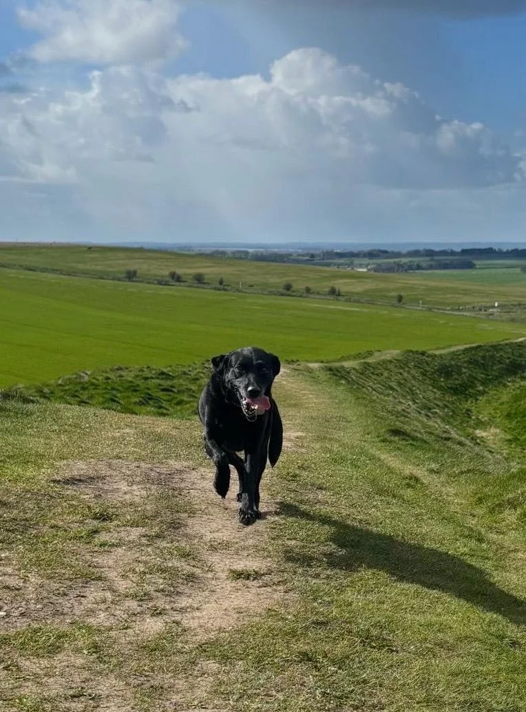 Black dog running on a grassy trail in a hilly landscape with green fields and a partly cloudy sky in the background.