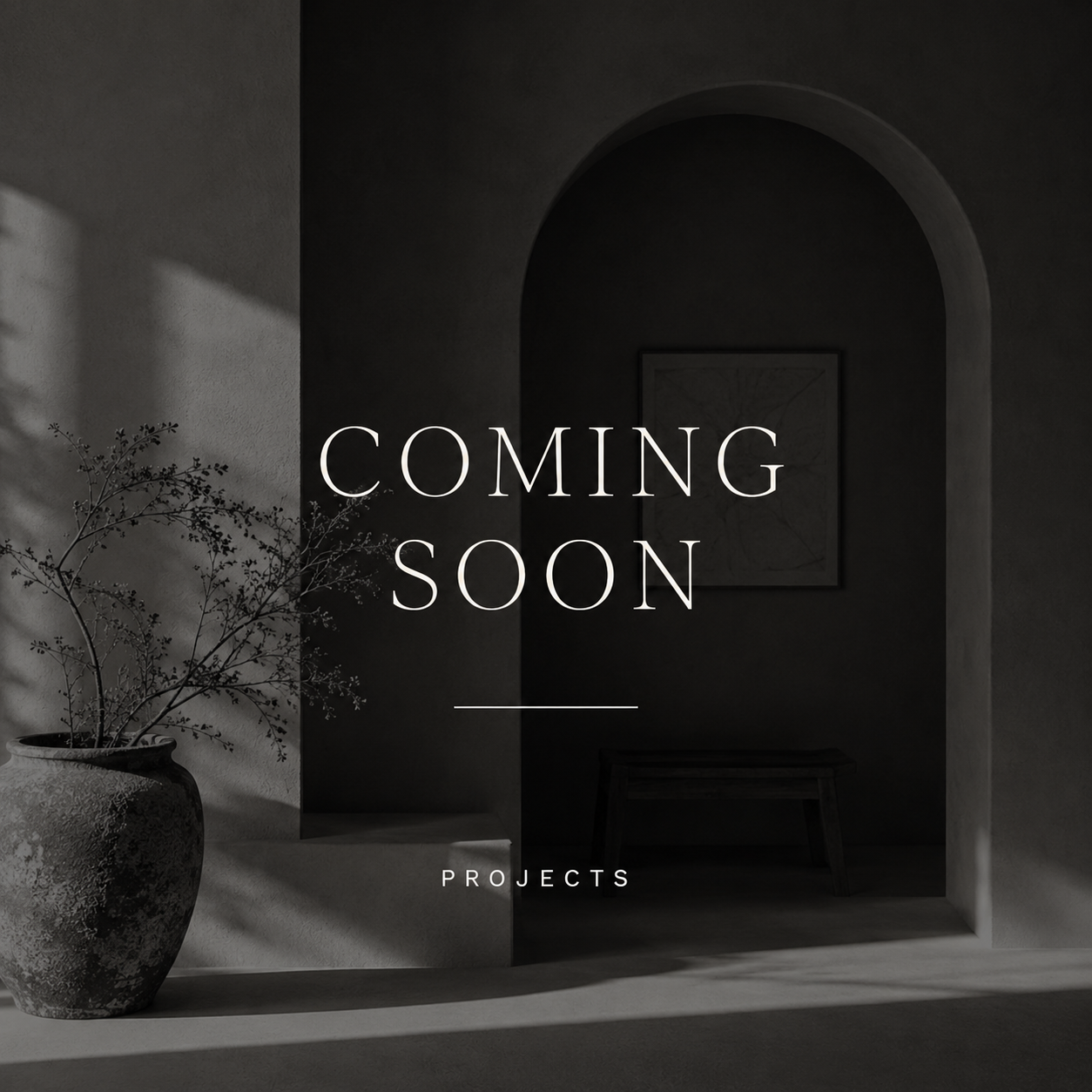 Minimalist interior with a large vase holding dried branches on the left and a framed artwork in an archway on the dark wall. Text overlay: "Coming Soon Projects".