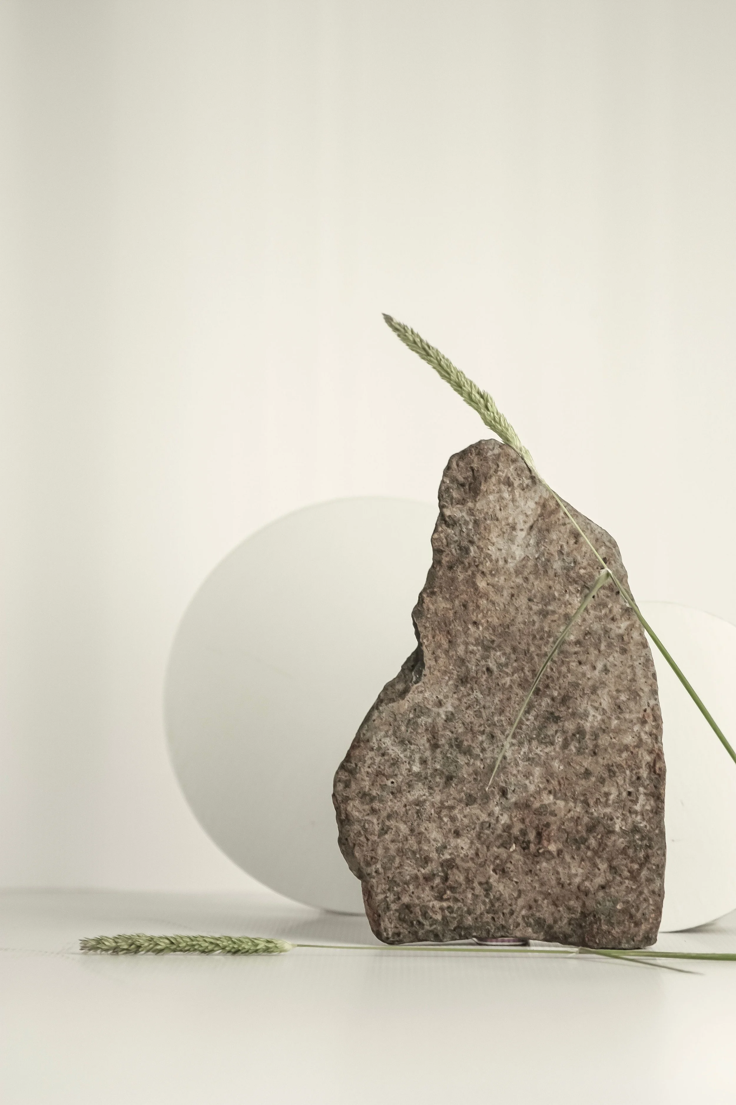 A large, irregularly shaped brown rock with a slightly rough texture, with a green grass stalk leaning against it and another grass stalk lying flat on a white surface at the bottom, casting soft shadows against a light-colored background.