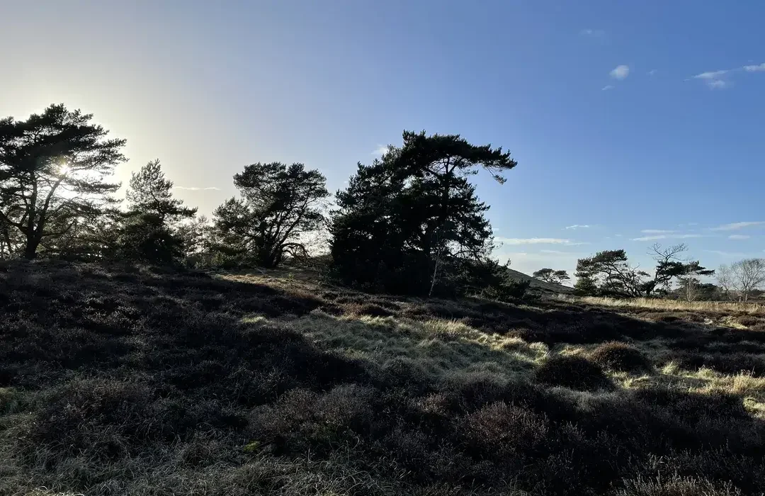 Den Røde kløversti