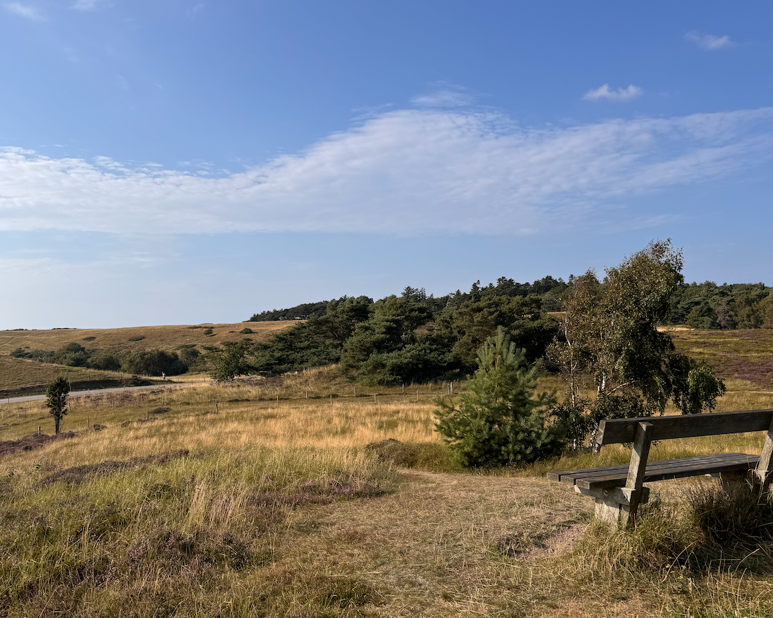 En åben landskabsudsigten med græs, nogle træer og en træbænk under en blå himmel med spredte skyer.