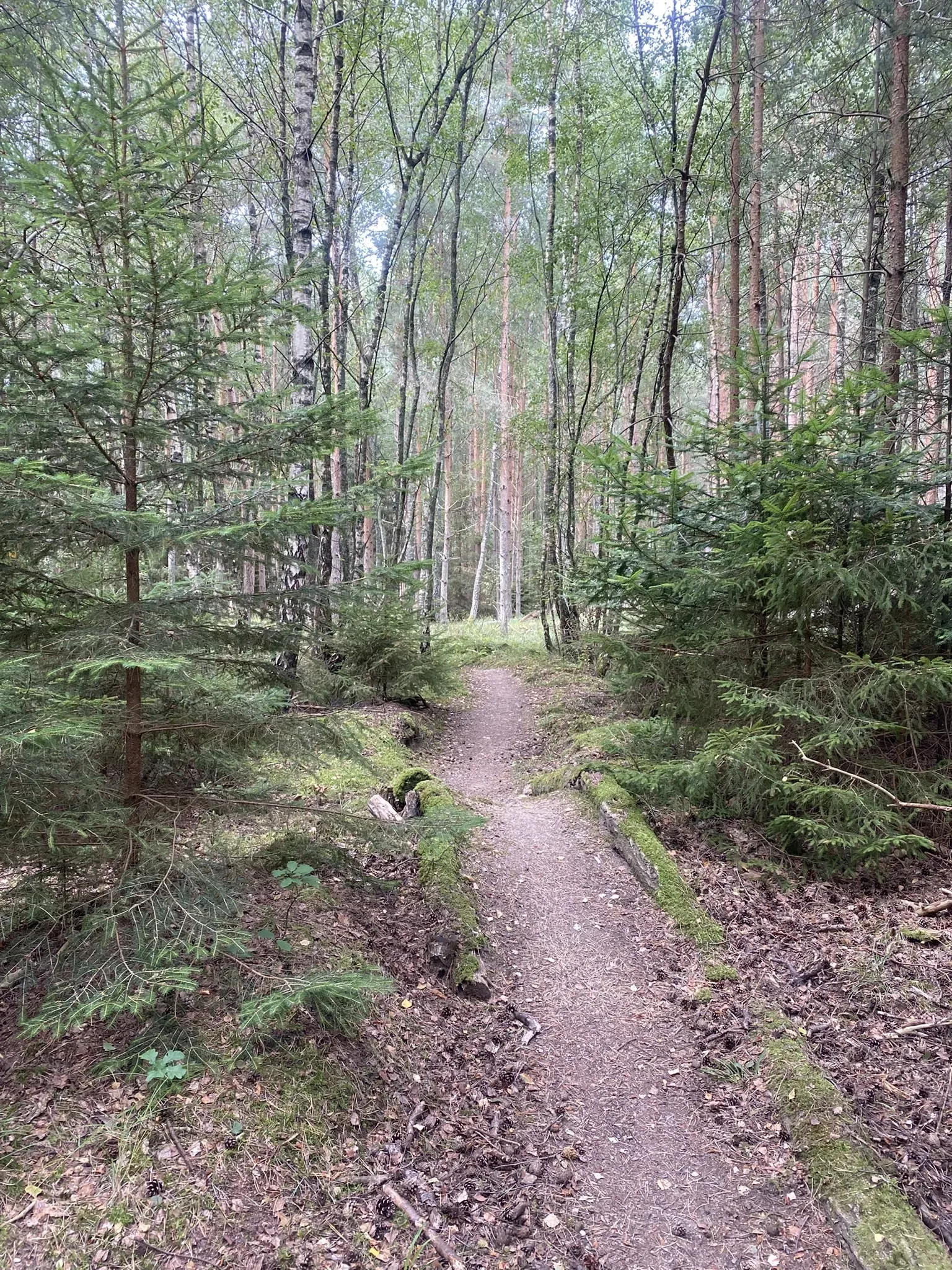 Sydsløjfen MTB