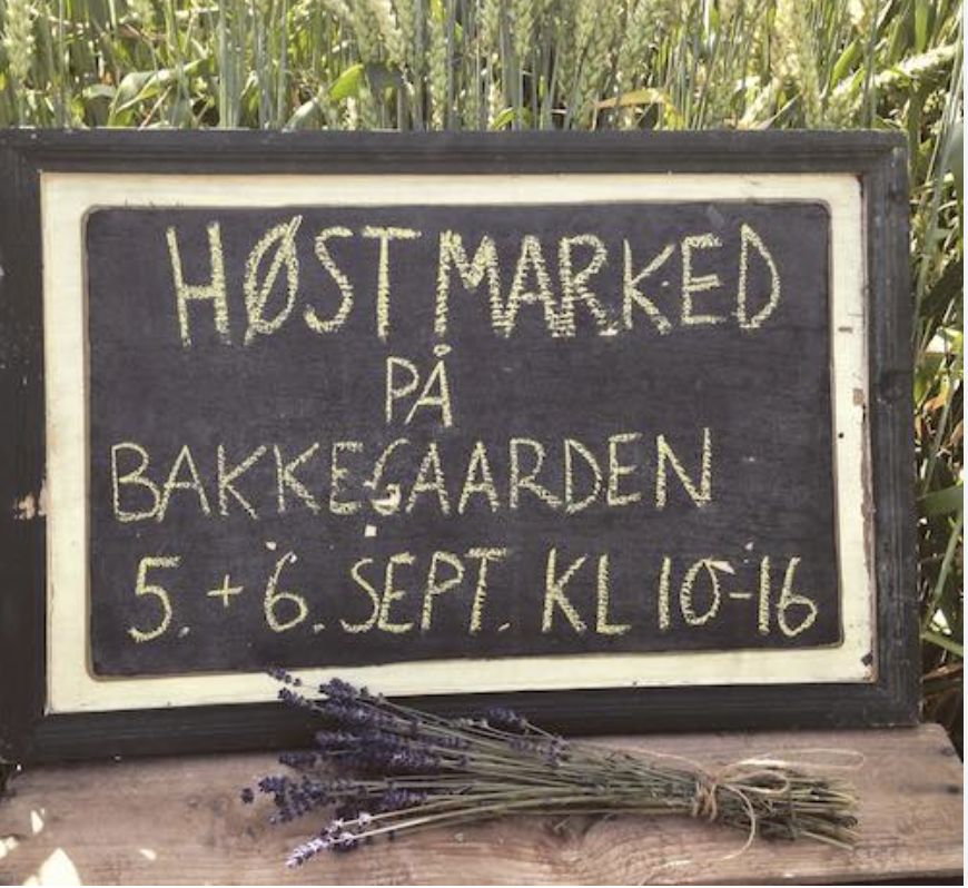 Skrivebræt med information om høstmarked på Bakkegaarden den 5. og 6. september fra kl. 10 til 16, placeret udendørs blandt buske eller høstplanter, med en bundt lavendel foran.