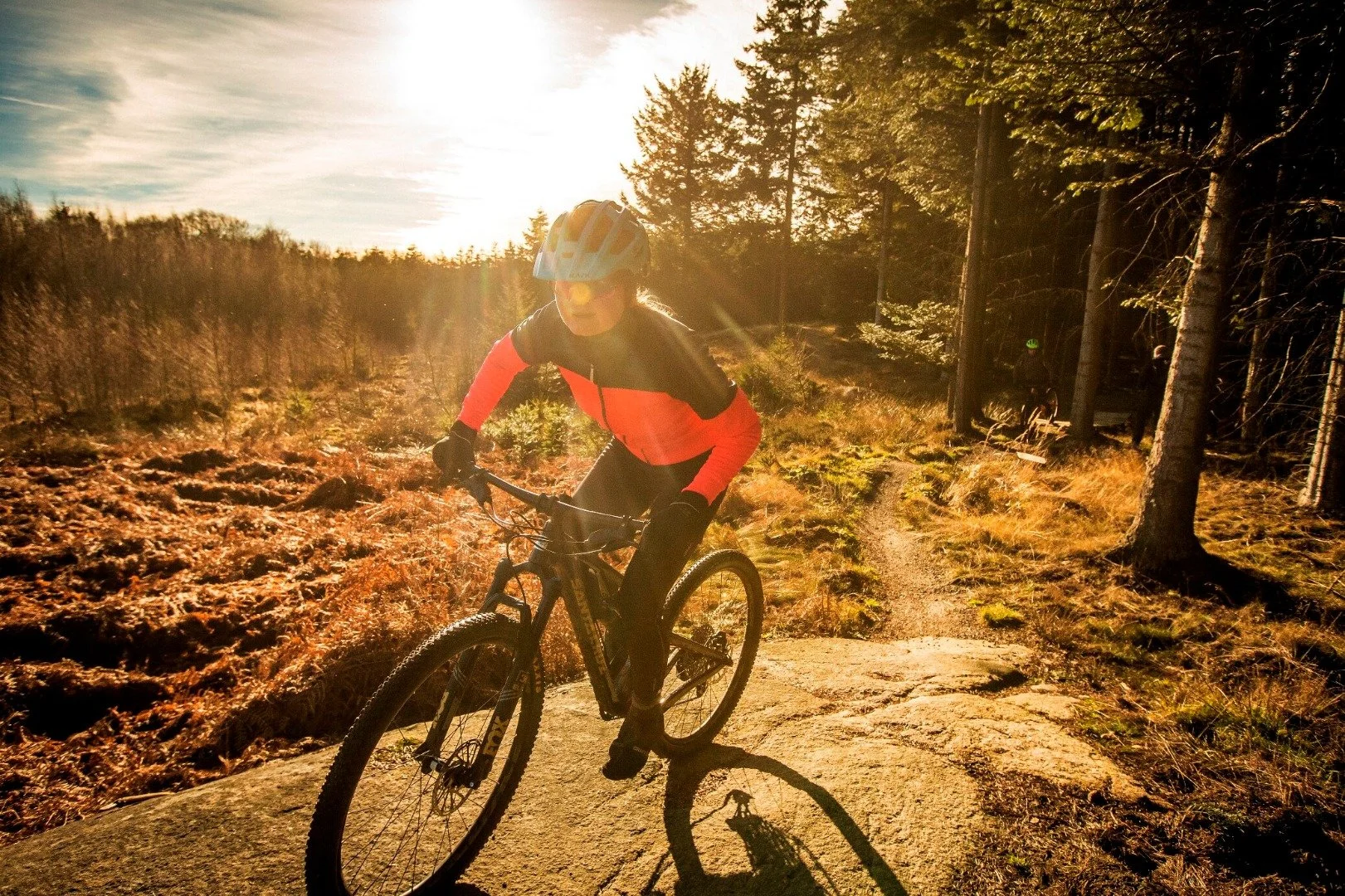 Person på mountainbike kører på en skovsti med solnedgang eller solopgang i baggrunden, omgivet af træer og natur.