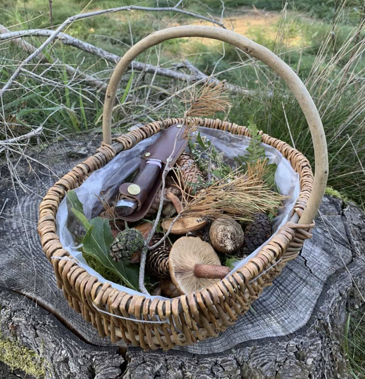 En kurv med skovmateriale, herunder svampe, grene, blade og pinde, placeret på en stub i en skov.