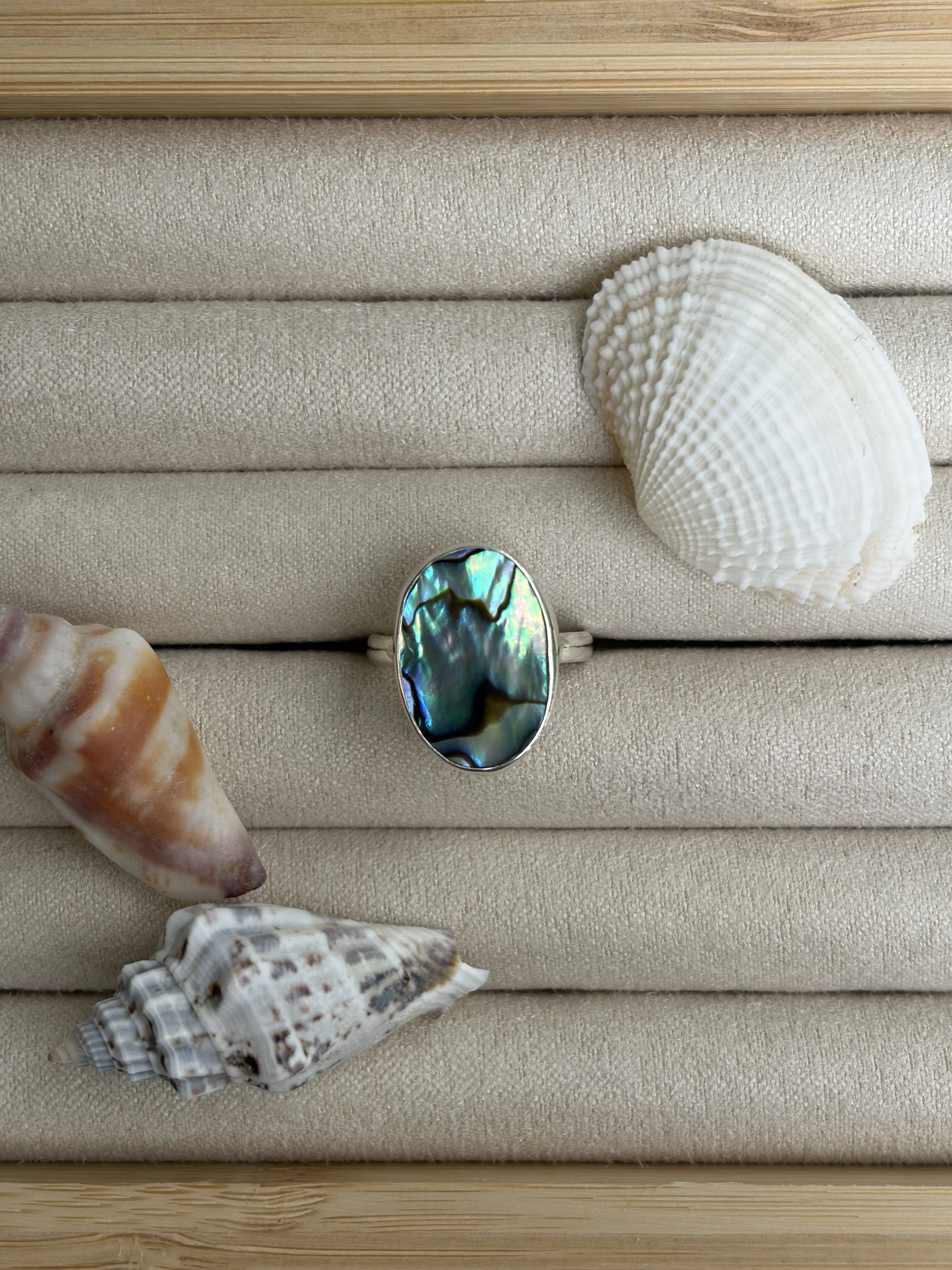 abalone shell ring
