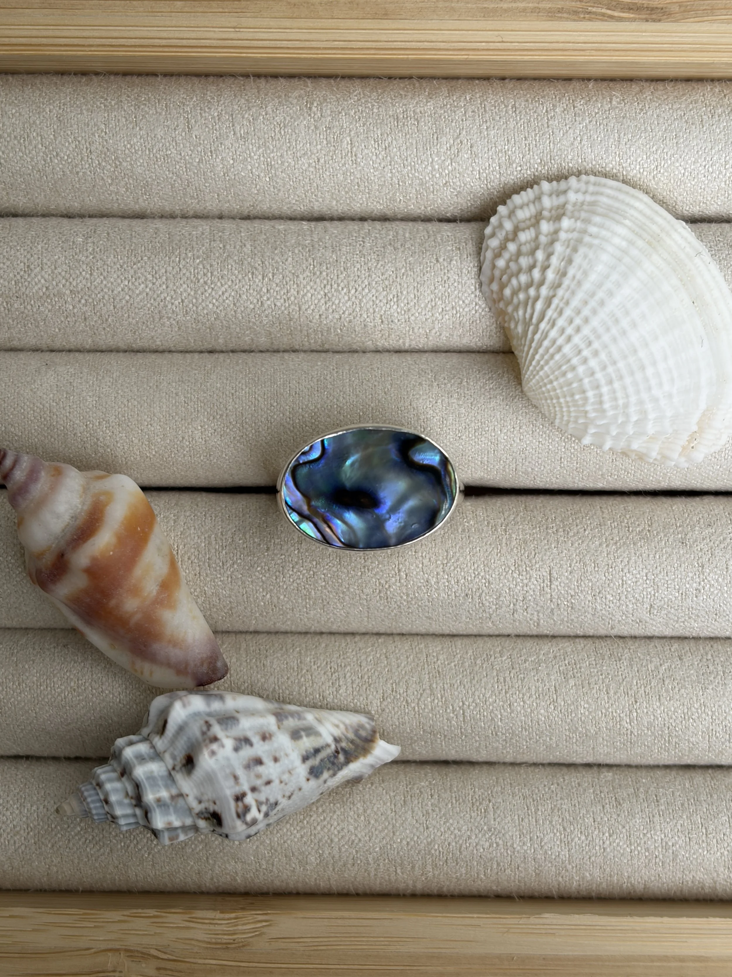 abalone shell ring