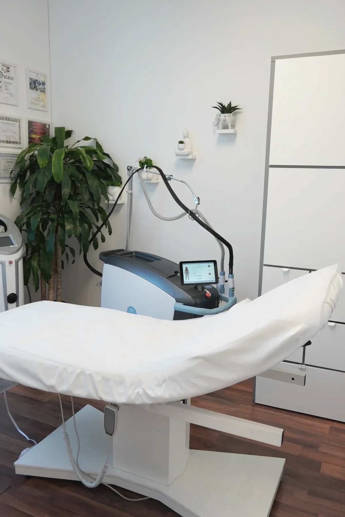 Medical treatment room with an examination bed, a machine with a digital screen, indoor plants, and white wall shelves with decorative items and certificates.