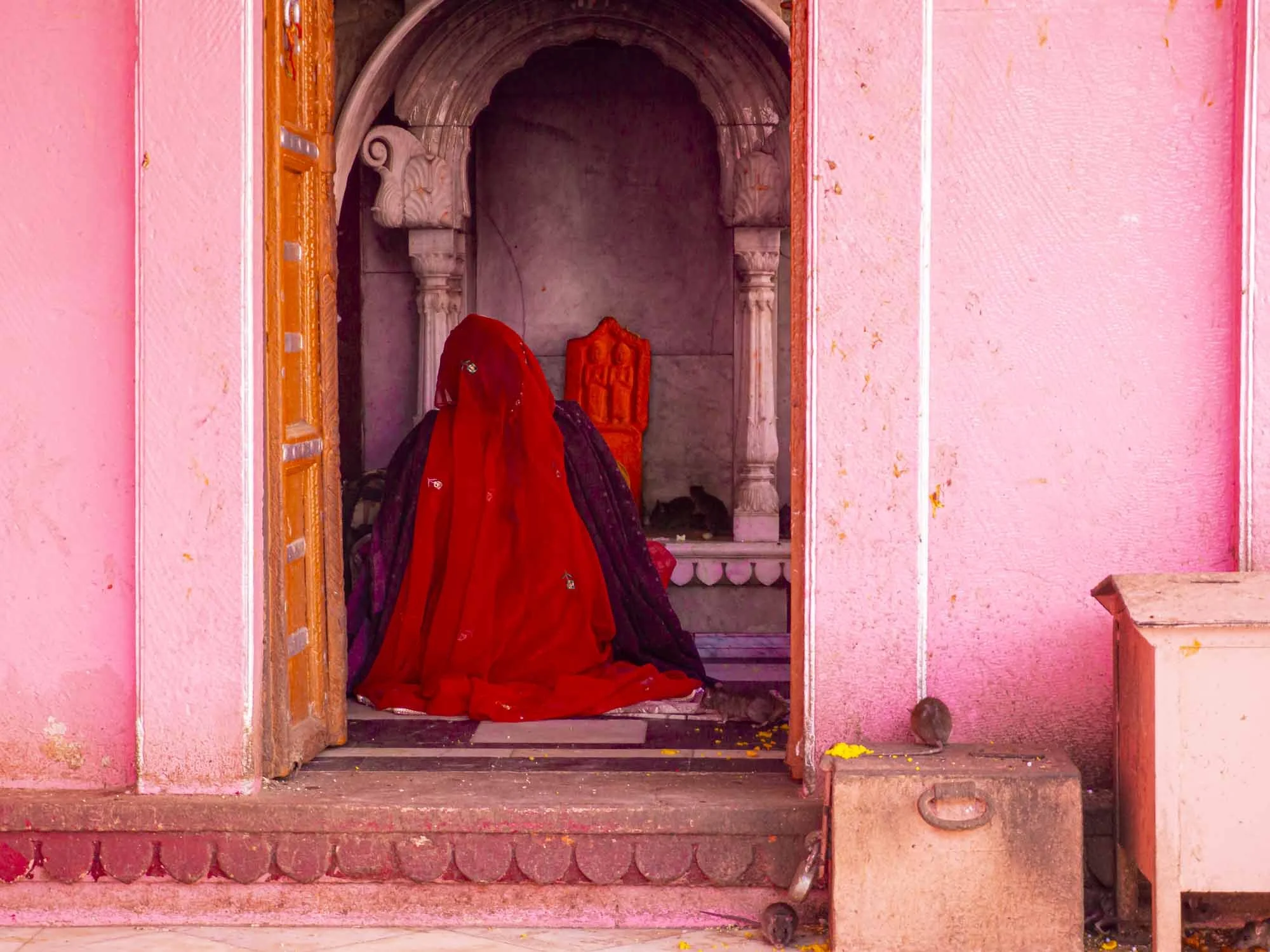 
De la puissance du rat - Temple de Karni Mata © Catherine Lin 2020